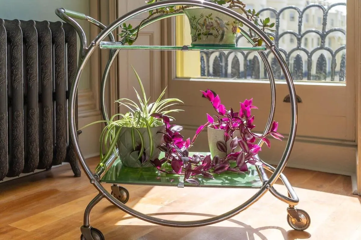 Host & Stay - Tranquility On Brunswick Square Brighton